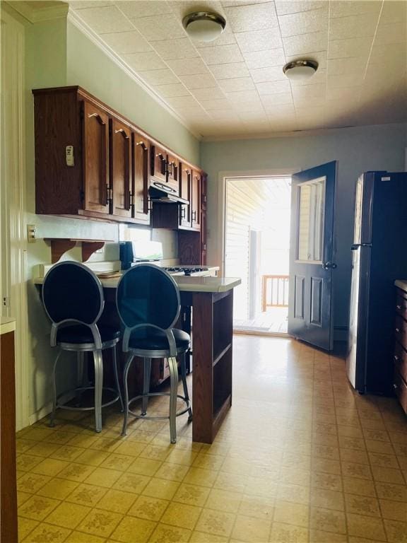 192 W Lincoln St, Waynsbrg/Frankln Twp, PA 15370 - kitchen featuring freestanding refrigerator, under cabinet range hood, light floors, crown molding, and a peninsula