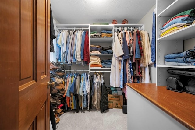 100 Firethorn Rd, Economy, PA 15005 - walk in closet with carpet