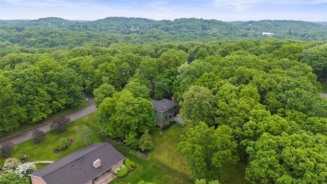 100 Firethorn Rd, Economy, PA 15005 - drone / aerial view of a forest