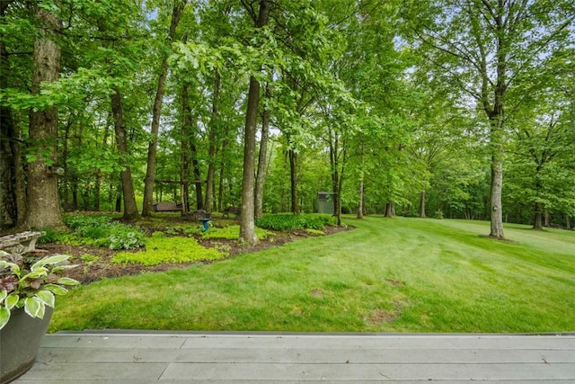 100 Firethorn Rd, Economy, PA 15005 - view of green lawn