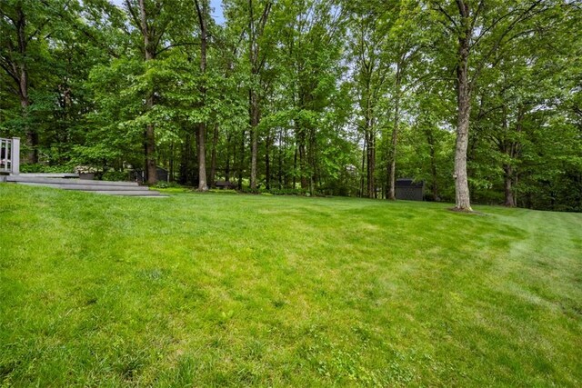 100 Firethorn Rd, Economy, PA 15005 - view of green lawn
