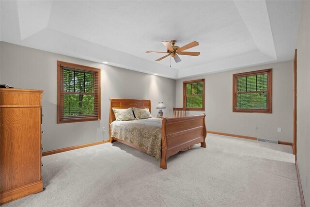 100 Firethorn Rd, Economy, PA 15005 - bedroom featuring a raised ceiling, baseboards, carpet, and multiple windows