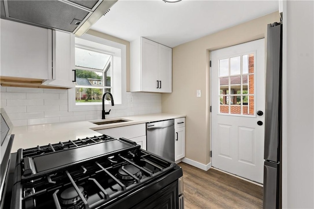 6225 Smithfield St, Elizabeth Twp/Boro, PA 15135 - kitchen with appliances with stainless steel finishes, a sink, wood finished floors, and healthy amount of natural light