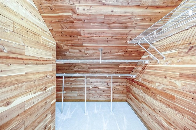 23 Pintail Dr, Indiana Twp Nal, PA 15238 - spacious closet with lofted ceiling