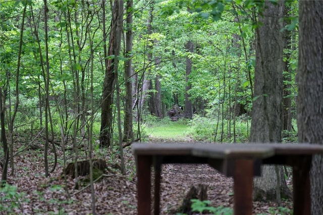 1147 Annisville Rd, Washington Twp But, PA 16050 - view of woods