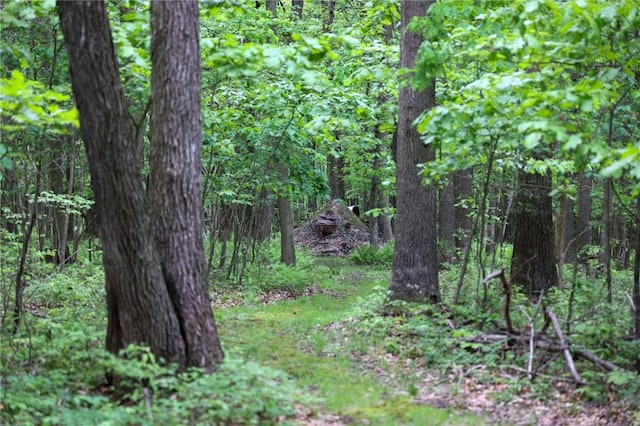 1147 Annisville Rd, Washington Twp But, PA 16050 - view of woods