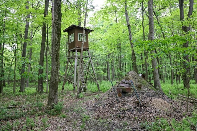 1147 Annisville Rd, Washington Twp But, PA 16050 - view of outdoor structure with a forest view