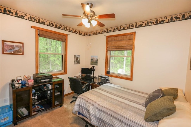 1147 Annisville Rd, Washington Twp But, PA 16050 - carpeted bedroom with multiple windows, ceiling fan, an office area, and baseboards
