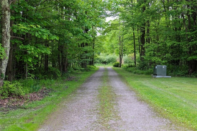 1147 Annisville Rd, Washington Twp But, PA 16050 - view of street featuring a wooded view