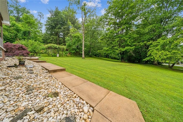 540 Skellytown Rd, North Huntingdon, PA 15642 - photo 28