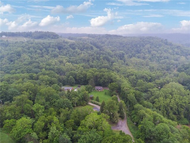 540 Skellytown Rd, North Huntingdon, PA 15642 - photo 34