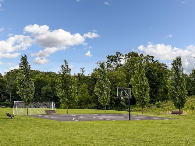 712 Mulkerrin Ct, Pine Twp Nal, PA 16046 - view of basketball court with an area for soccer and community basketball court