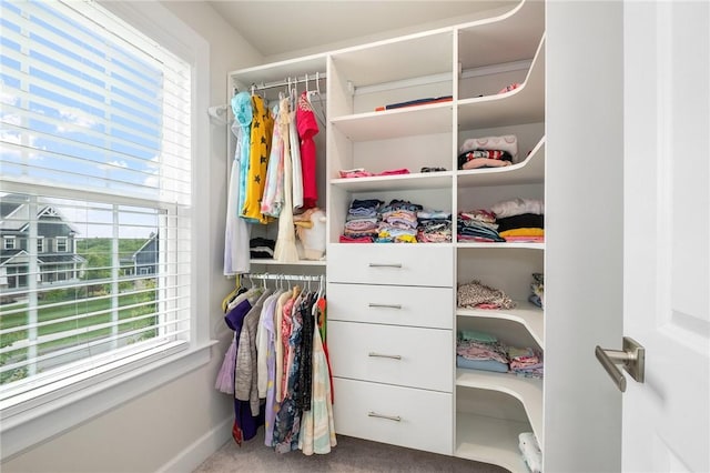 712 Mulkerrin Ct, Pine Twp Nal, PA 16046 - view of closet