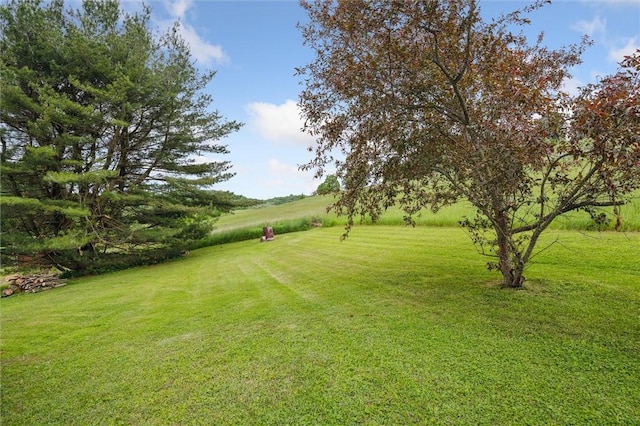 73 Hartman Rd, Green/Commdre/Prchse, PA 15759 - view of grassy yard
