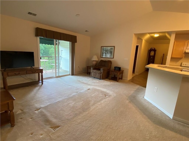 350 Hidden Ridge Ct Unit 302, South Park, PA 15129 - living area with light colored carpet, lofted ceiling, and baseboards
