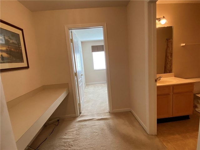350 Hidden Ridge Ct Unit 302, South Park, PA 15129 - corridor featuring a sink, baseboards, and light colored carpet