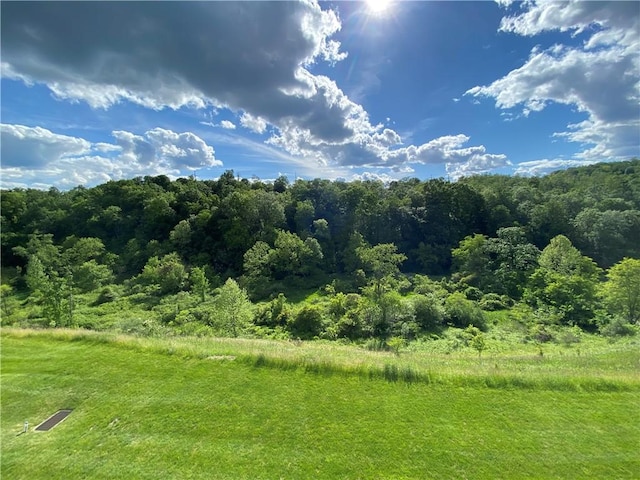 350 Hidden Ridge Ct Unit 302, South Park, PA 15129 - view of tree filled area