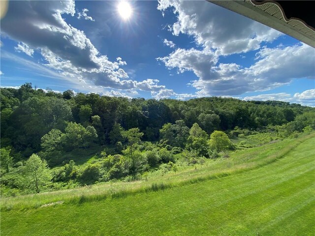350 Hidden Ridge Ct Unit 302, South Park, PA 15129 - view of yard with a wooded view