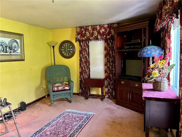 11 Worthington Ave, Neshannock Twp, PA 16105 - living area featuring carpet and baseboards