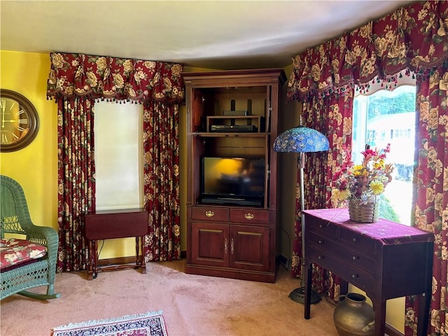 11 Worthington Ave, Neshannock Twp, PA 16105 - living room with carpet floors