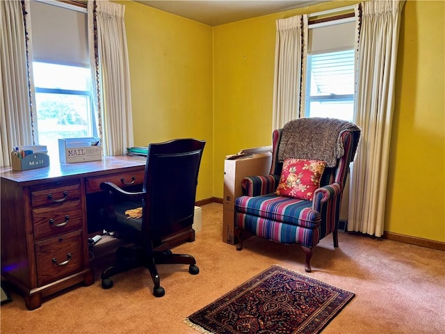 11 Worthington Ave, Neshannock Twp, PA 16105 - office space with carpet flooring and baseboards