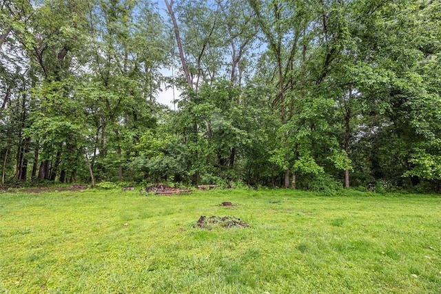 402 Hunting Creek Rd, Canonsburg, PA 15317 - view of green lawn featuring a view of trees