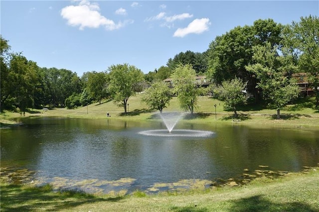 402 Hunting Creek Rd, Canonsburg, PA 15317 - water view