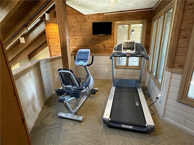 B45A Stoneridge Dr, Seven Springs Resort, PA 15557 - exercise area featuring wood walls and carpet floors