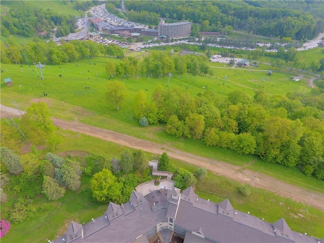 B45A Stoneridge Dr, Seven Springs Resort, PA 15557 - drone / aerial view