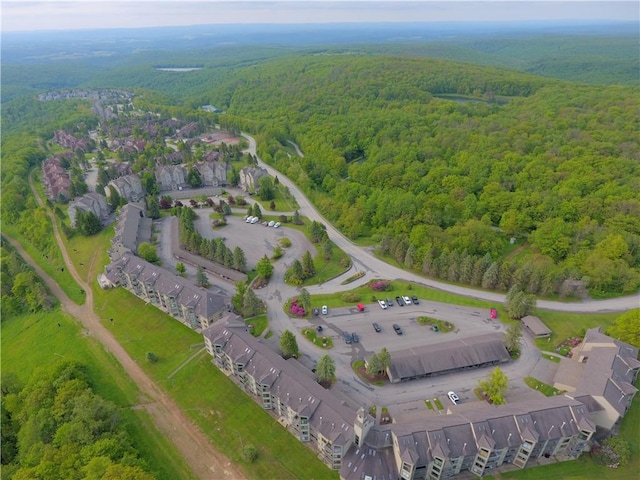 B45A Stoneridge Dr, Seven Springs Resort, PA 15557 - view of property location featuring a heavily wooded area