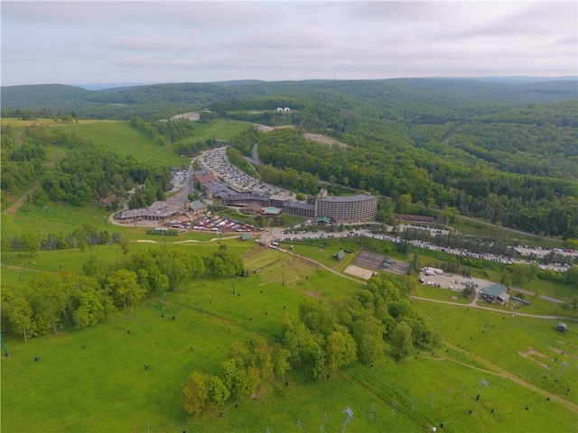 B45A Stoneridge Dr, Seven Springs Resort, PA 15557 - aerial view of a heavily wooded area