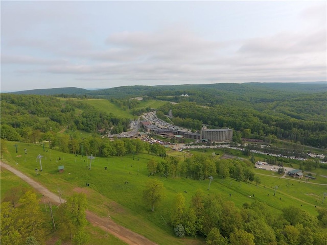 B45A Stoneridge Dr, Seven Springs Resort, PA 15557 - view of rural area featuring a heavily wooded area