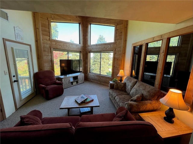 B45A Stoneridge Dr, Seven Springs Resort, PA 15557 - view of carpeted living room