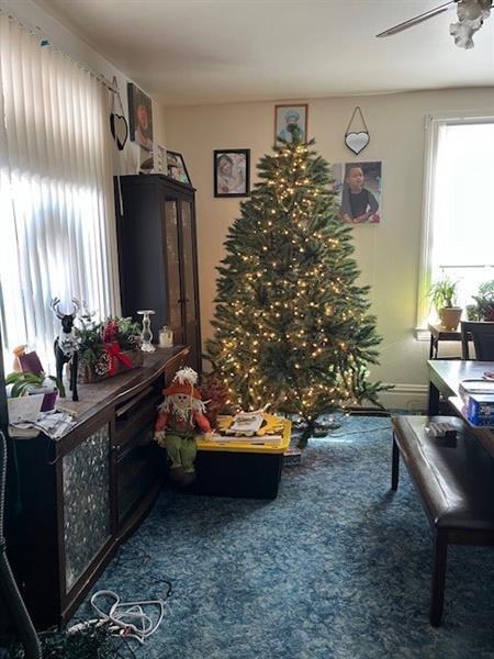 6 Pine St, Natrona Hts/Harrison Twp, PA 15065 - carpeted living area with a ceiling fan