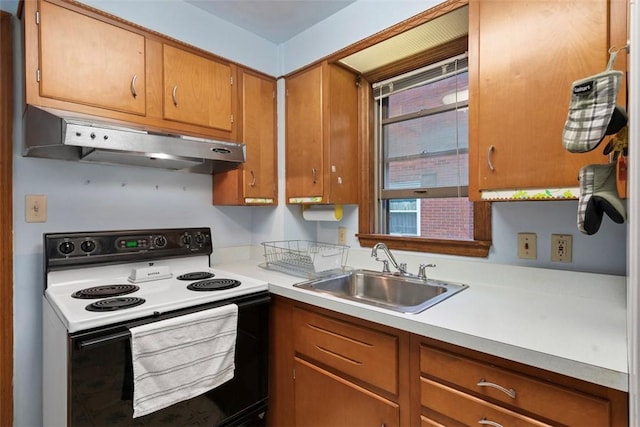 102 William St, Ross Twp, PA 15229 - photo 10