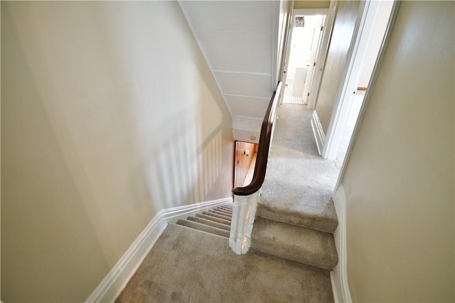 311 Kearsarge St, Mt Washington, PA 15211 - photo 18