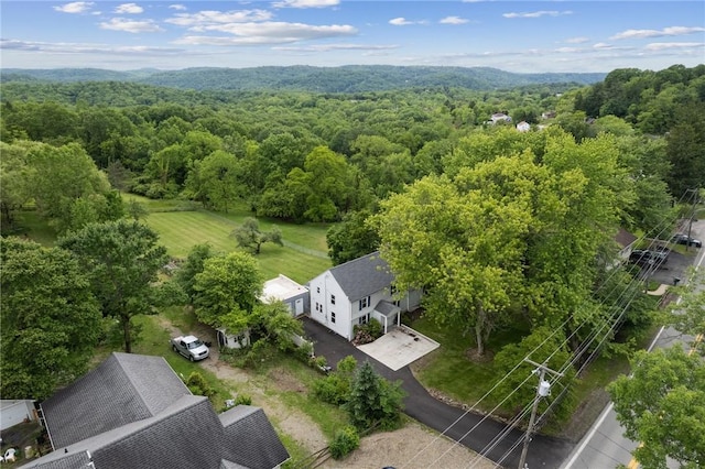 2510 7th St, New Kensington, PA 15068 - aerial view of a forest