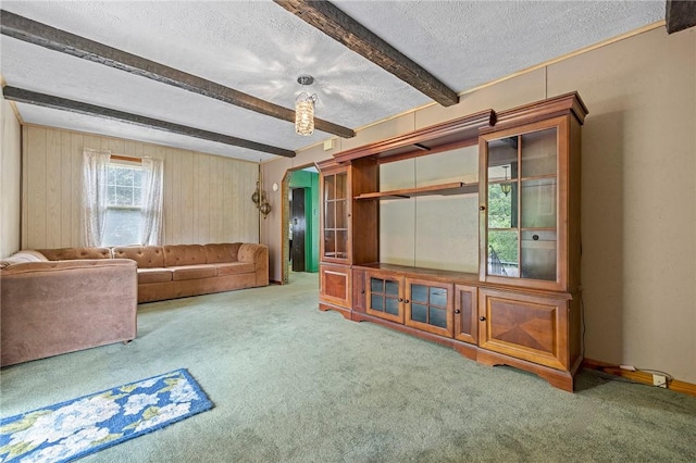 600 Pineview Dr Unit 590, Elizabeth Twp/Boro, PA 15037 - unfurnished living room featuring beam ceiling, carpet floors, and a textured ceiling