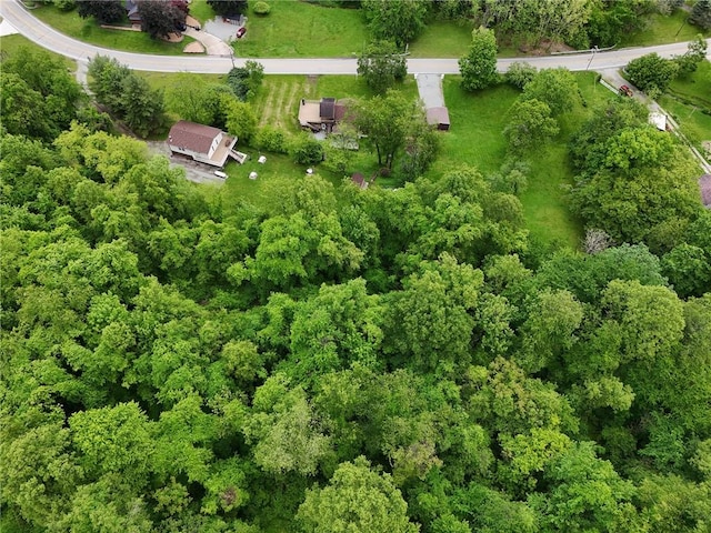 600 Pineview Dr Unit 590, Elizabeth Twp/Boro, PA 15037 - drone / aerial view