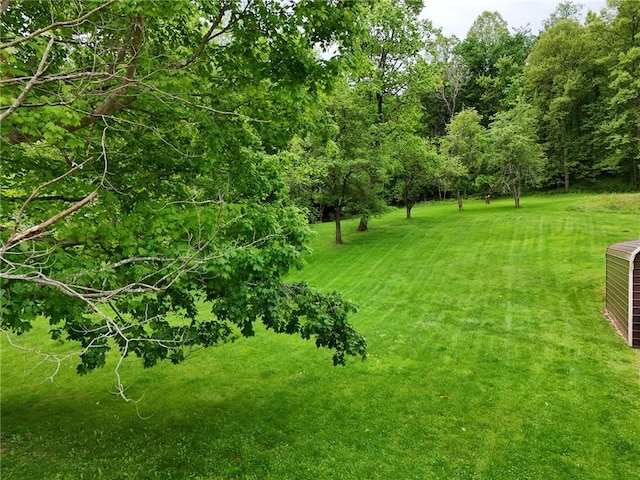 600 Pineview Dr Unit 590, Elizabeth Twp/Boro, PA 15037 - view of grassy yard