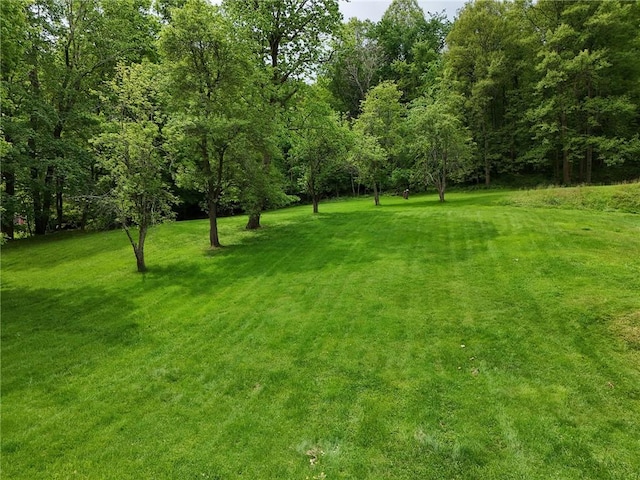 600 Pineview Dr Unit 590, Elizabeth Twp/Boro, PA 15037 - view of green lawn