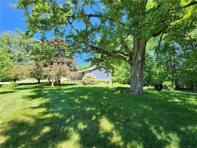 911 Aztec Trl, Coolspring Twp, PA 16137 - view of green lawn