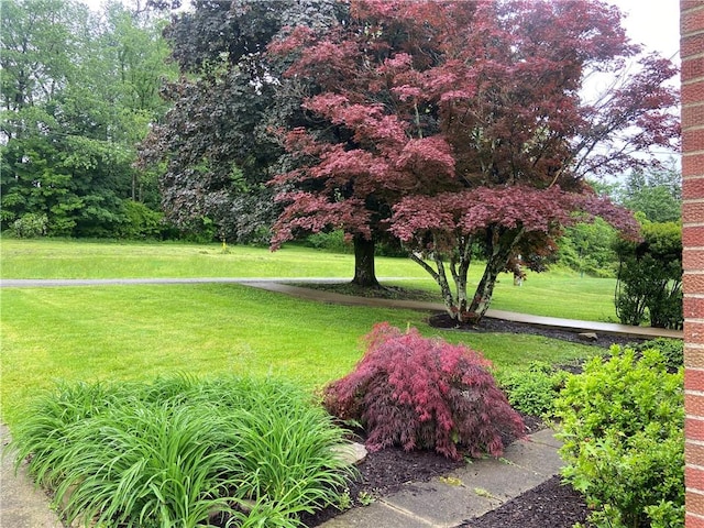 327 Craig St, Manor Twp, PA 16226 - view of green lawn