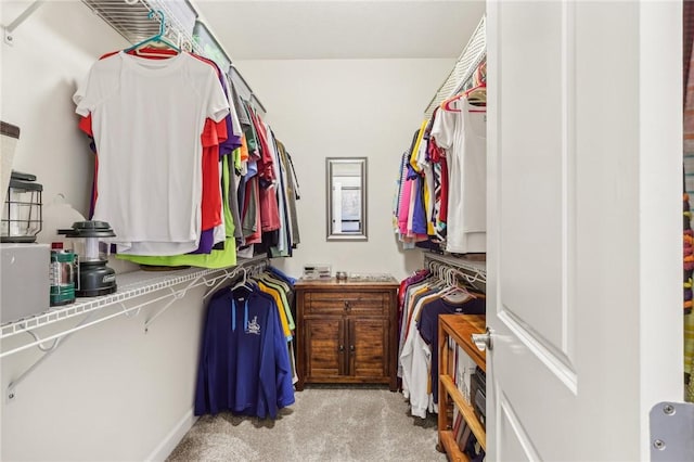 219 Brookside Dr, Cranberry Twp, PA 16066 - spacious closet with carpet floors