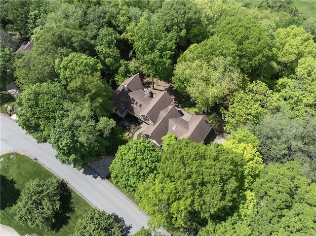 504 Timber Ln, Jefferson Hills, PA 15025 - bird's eye view of a forest