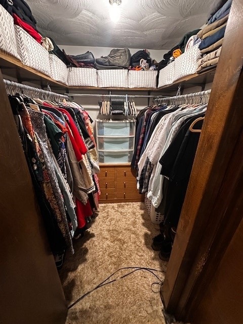 378 Ceylon Rd, Carmichaels/Cumblnd, PA 15320 - walk in closet featuring carpet flooring