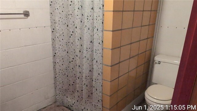 175 Sherman Ave, Waynsbrg/Frankln Twp, PA 15370 - full bath featuring toilet and a tile shower