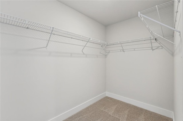 1213 Newbury Highland, South Fayette, PA 15017 - walk in closet with carpet