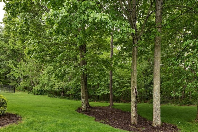 929 White Water, Adams Twp, PA 16046 - view of green lawn with a forest view