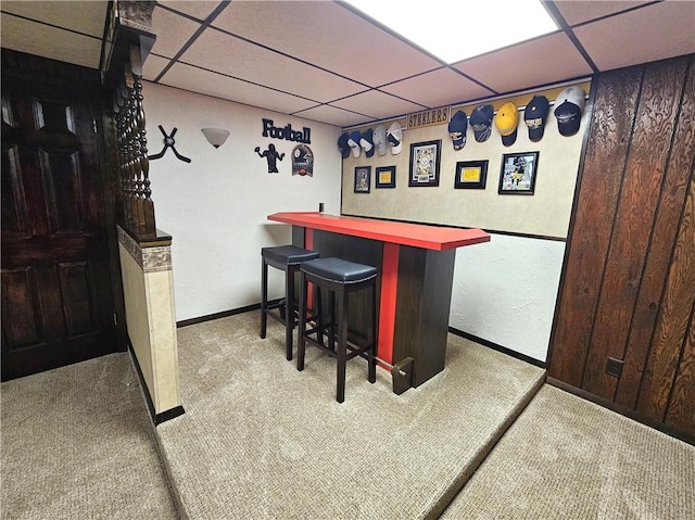 261 Lacock St, Canton Twp, PA 15301 - indoor dry bar featuring carpet flooring, a drop ceiling, and baseboards